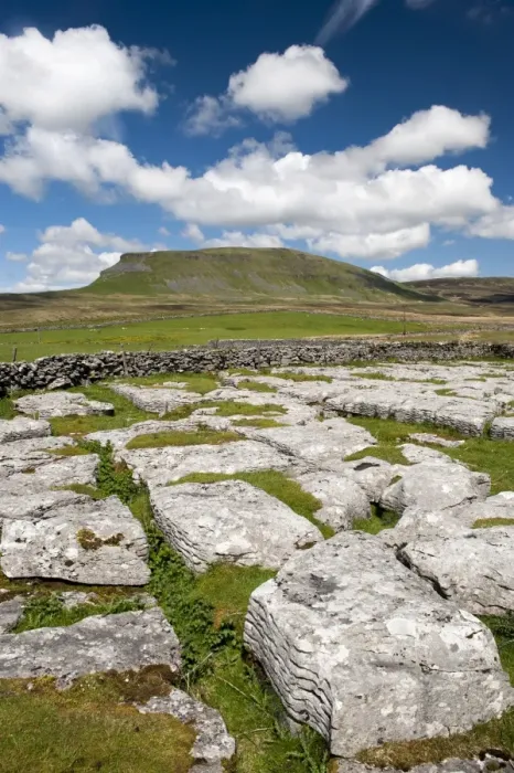 Framed Print : View of limestone outcrop, with Pen-y-ghent in background, Yorkshire Dales N. P. North Yorkshire, England, May Framed Print : View of limestone outcrop, with Pen-y-ghent in background, Yorkshire Dales N. P. North Yorkshire, England, May