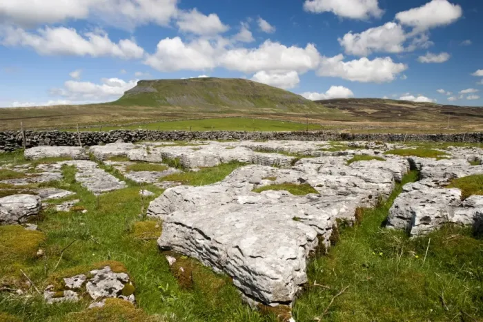 Framed Print : View of limestone outcrop, with Pen-y-ghent in background, Yorkshire Dales N. P. North Yorkshire, England, May