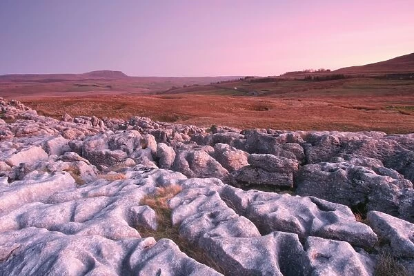 View of limestone pavement at twilight, looking from Ribblehead towards Pen-Y-Ghent, Ribblesdale, Yorkshire Dales N. P
