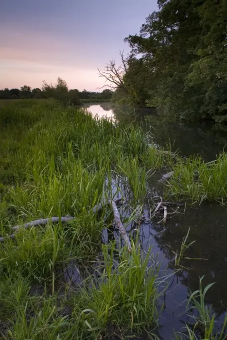 Framed Print : View of lowland river habitat at sunset, River Stour, Dedham Vale, Essex, England, june Framed Print : View of lowland river habitat at sunset, River Stour, Dedham Vale, Essex, England, june