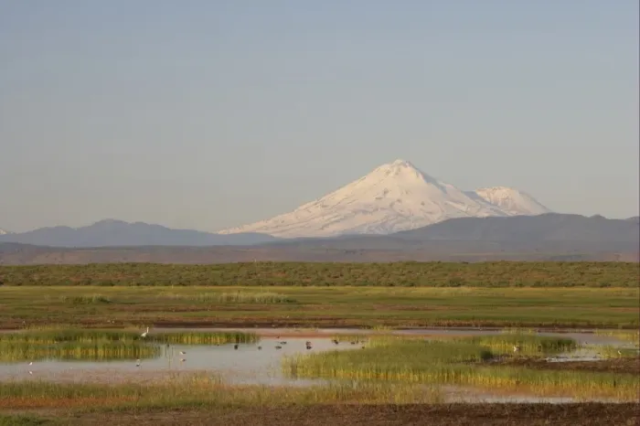 Framed Print : View of marshland habitat with distant mountain, Mount Shasta, Klamath N. W. R. California, U. S. A Framed Print : View of marshland habitat with distant mountain, Mount Shasta, Klamath N. W. R. California, U. S. A