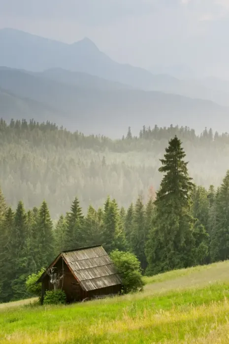 Framed Print : View over meadow, barn and montane coniferous forest habitat at sunset, Tatra Mountains, Western Carpathians, Poland Framed Print : View over meadow, barn and montane coniferous forest habitat at sunset, Tatra Mountains, Western Carpathians, Poland