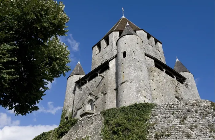 Framed Print : View of Medieval castle, unesco world heritage site, Tour Cesar (Caesar Tower), Provins, Seine-et-Marne, France Framed Print : View of Medieval castle, unesco world heritage site, Tour Cesar (Caesar Tower), Provins, Seine-et-Marne, France