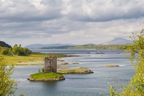 View of medieval towerhouse on tidal islet, Castle Stalker, Loch Linnhe, Portnacroish, Argyll, Highlands, Scotland, May