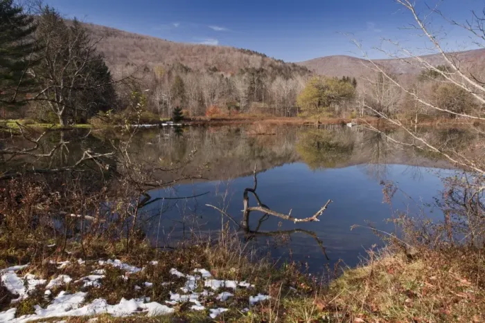 Framed Print : View of melting snow at edge of lake in woodland habitat, Oliverea, Catskill State Park, Catskill Mountains, New York State, U. S. A. november