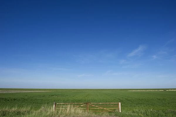 View of metal gate and coastal farmland, Jutland (Jylland), Denmark, may