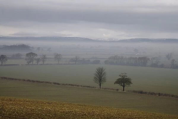View of mist over fields, with low cloud over moorland in distance, North Yorkshire Moors, near Slingsby