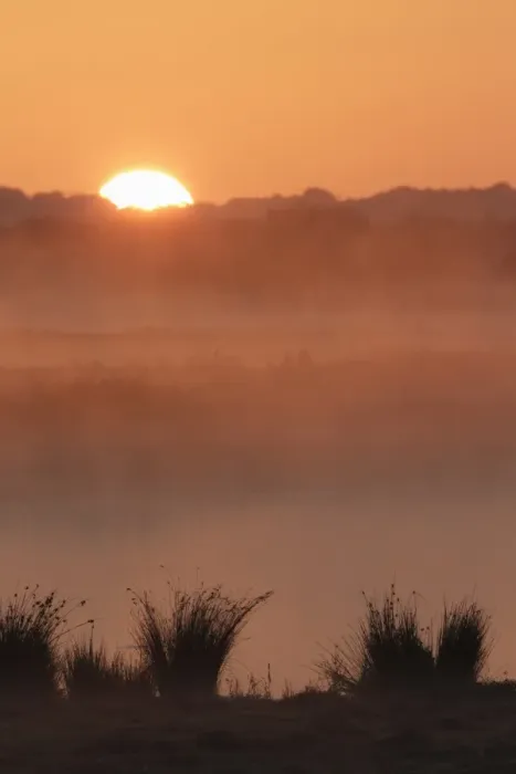 Framed Print : View of mist over water at sunrise, on site of former opencast coal mine, St Framed Print : View of mist over water at sunrise, on site of former opencast coal mine, St