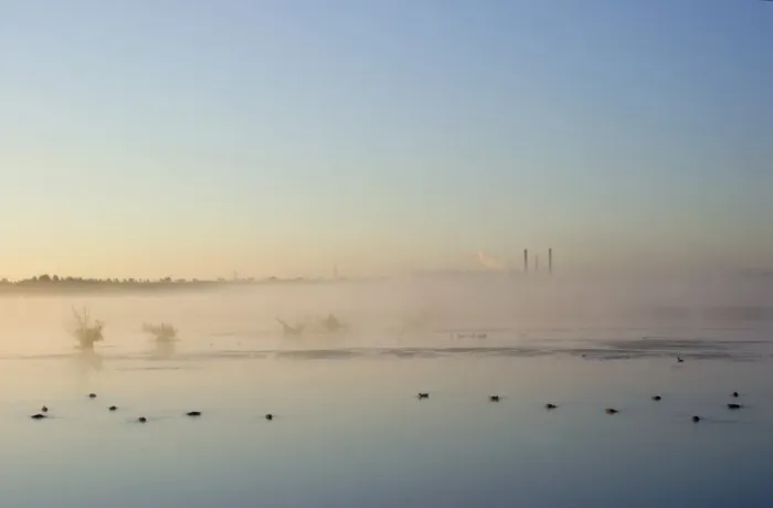 Framed Print : View of misty pool with ducks and distant powerstation, Fairburn Ings RSPB Reserve, West Yorkshire, England, july Framed Print : View of misty pool with ducks and distant powerstation, Fairburn Ings RSPB Reserve, West Yorkshire, England, july