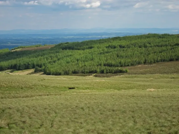 Framed Print : View of moorland and conifer plantation, Kelburn, North Ayrshire, Scotland, june