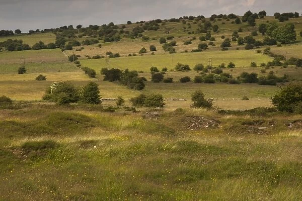 View of moorland habitat, Bonsall Moor, Peak District, Derbyshire, England, june