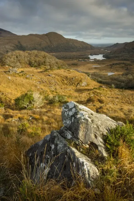 Framed Print : View over moorland towards lake and mountains, Ladies View, Upper Lake, Lakes of Killarney, Killarney N. P Framed Print : View over moorland towards lake and mountains, Ladies View, Upper Lake, Lakes of Killarney, Killarney N. P