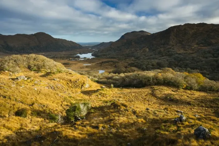 Framed Print : View over moorland towards lake and mountains, Ladies View, Upper Lake, Lakes of Killarney, Killarney N. P Framed Print : View over moorland towards lake and mountains, Ladies View, Upper Lake, Lakes of Killarney, Killarney N. P