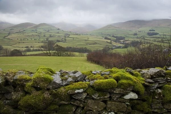 View over moss covered drystone wall towards fell with low clouds, looking towards Howgill Fells, Firbank, Cumbria