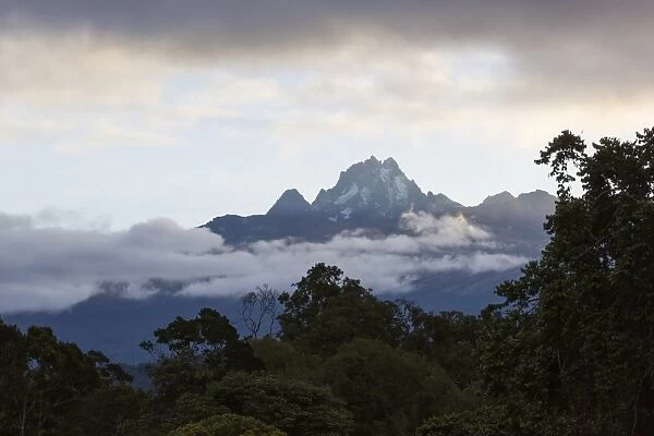 View of mountain peak and montane rainforest habitat, Mount Kenya, Mount Kenya N. P. Kenya, August