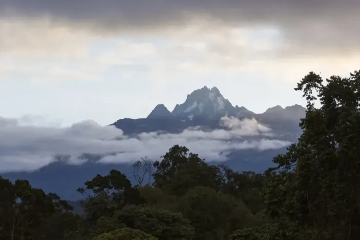 Framed Print : View of mountain peak and montane rainforest habitat, Mount Kenya, Mount Kenya N. P. Kenya, August Framed Print : View of mountain peak and montane rainforest habitat, Mount Kenya, Mount Kenya N. P. Kenya, August