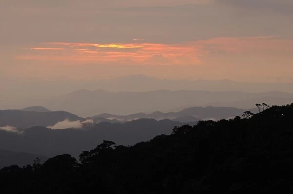 View of mountain range silhouetted at sunset, looking from Bigugu Peak, Nyungwe Forest N. P. Rwanda, december
