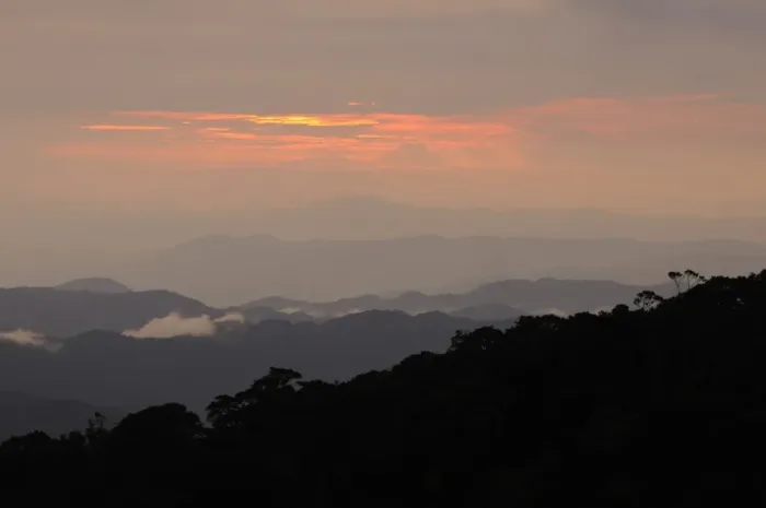 Framed Print : View of mountain range silhouetted at sunset, looking from Bigugu Peak, Nyungwe Forest N. P. Rwanda, december Framed Print : View of mountain range silhouetted at sunset, looking from Bigugu Peak, Nyungwe Forest N. P. Rwanda, december