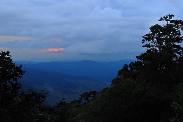 View of mountain range with tropical montane forest habitat at sunset, Nyungwe Forest N. P