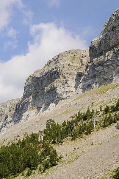 View of mountain valley habitat, Ordesa y Monte Perdido N. P. Pyrenees, Aragon, Spain, june