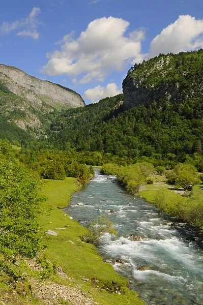 View of mountain valley river habitat, Ordesa y Monte Perdido N. P. Pyrenees, Aragon, Spain, june