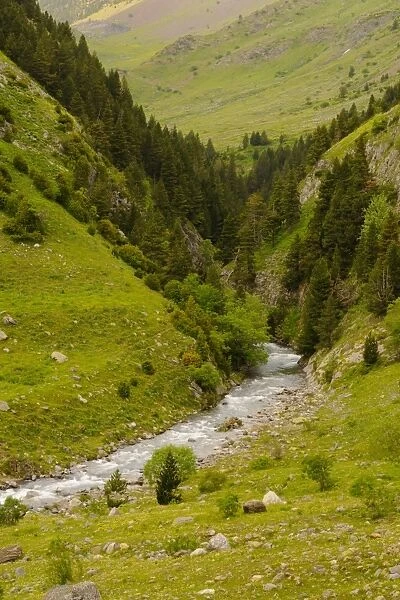 View of mountain valley stream habitat, Ordesa y Monte Perdido N. P. Pyrenees, Aragon, Spain, june
