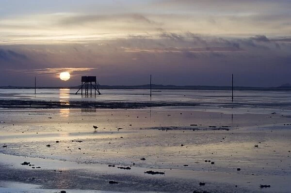 View over mudflats at low tide during sunrise, Lindisfarne N. N. R. Northumberland, England, winter