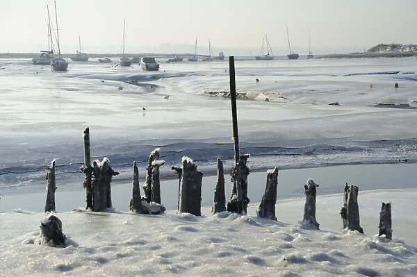 View of mudflats and saltmarsh covered with ice, with old landing stage and sailing boats in distance, Holbrook Creek