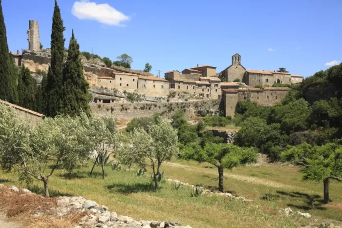 Framed Print : View of olive grove and historic town, Minerve, Herault, Languedoc-Roussillon, France, may Framed Print : View of olive grove and historic town, Minerve, Herault, Languedoc-Roussillon, France, may