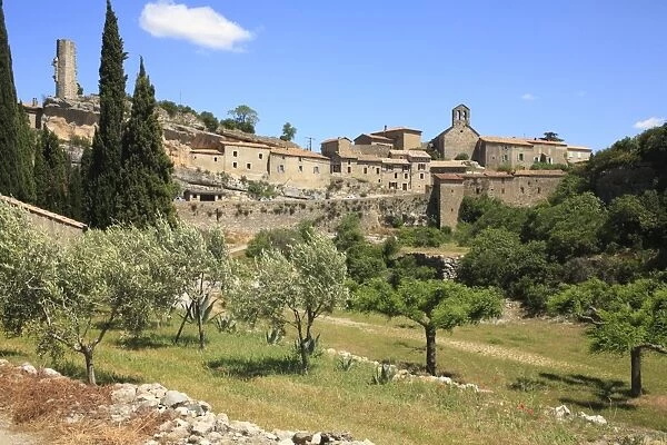 View of olive grove and historic town, Minerve, Herault, Languedoc-Roussillon, France, may