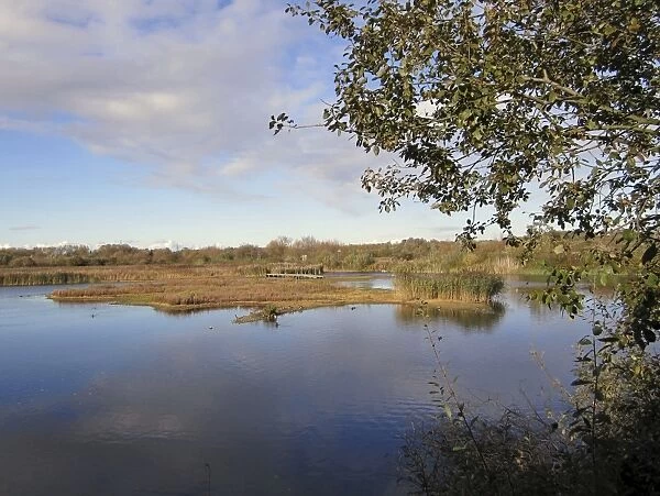 View of open water in wetland habitat, Rye Meads RSPB Reserve, Hoddesdon, Lea Valley, Hertfordshire, England, october