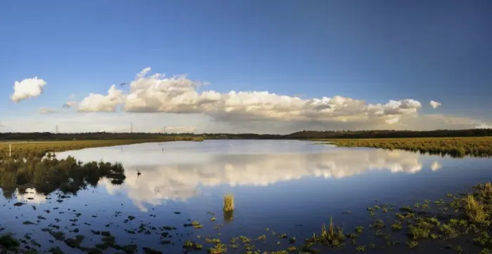 Framed Print : View of open water in wetland habitat, Fairburn Ings RSPB Reserve, West Yorkshire, England, November Framed Print : View of open water in wetland habitat, Fairburn Ings RSPB Reserve, West Yorkshire, England, November