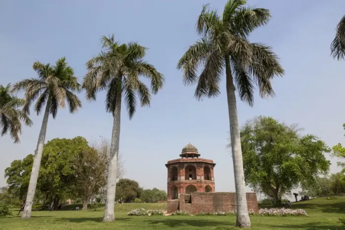 Framed Print : View of palm trees and red sandstone octagonal tower, Sher Mandal, Purana Qila, Delhi, India, March Framed Print : View of palm trees and red sandstone octagonal tower, Sher Mandal, Purana Qila, Delhi, India, March