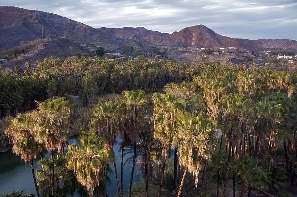 View of palm trees, river and oasis town in valley, Mulege, Baja California Sur, Mexico, march
