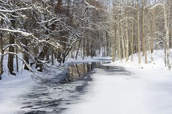 View of partially frozen river in snow covered forest habitat, Angelsberg, Vastmanland, Sweden, february
