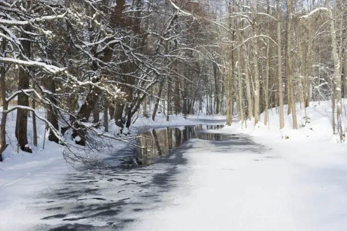 Framed Print : View of partially frozen river in snow covered forest habitat, Angelsberg, Vastmanland, Sweden, february Framed Print : View of partially frozen river in snow covered forest habitat, Angelsberg, Vastmanland, Sweden, february