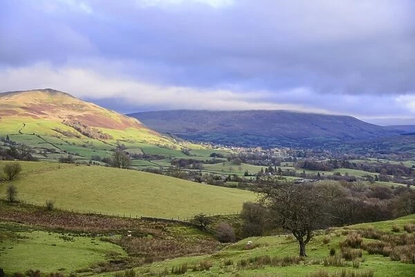 View of pasture and fells, near Sedbergh, Cumbria, England, November