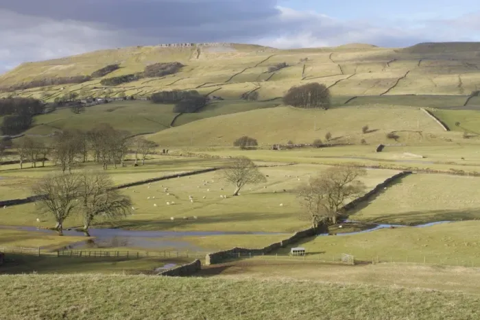 Framed Print : View of pasture with sheep, drystone walls, bare trees and floodwater in valley bottom, River Ure, Burtersett Framed Print : View of pasture with sheep, drystone walls, bare trees and floodwater in valley bottom, River Ure, Burtersett