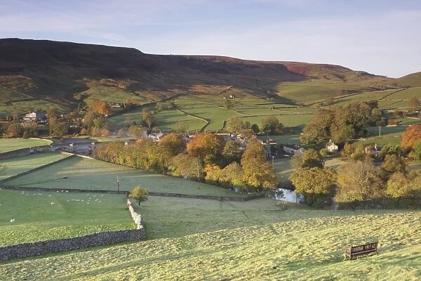 View of pasture with sheep, trees, village and river flowing through valley bottom, River Wharfe, Burnsall, Wharfedale