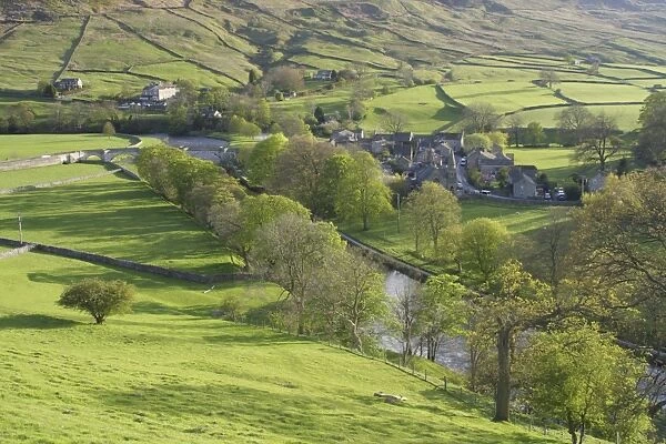 View of pasture, trees, river and village, River Wharfe, Burnsall, Wharfedale, Yorkshire Dales N. P
