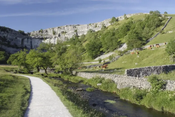 Framed Print : View of path beside stream, drystone walls, pasture with grazing cattle and limestone cliff, Malham Cove, Malhamdale Framed Print : View of path beside stream, drystone walls, pasture with grazing cattle and limestone cliff, Malham Cove, Malhamdale