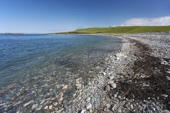 Framed Print : View of pebble beach, Westing Beach, Unst, Shetland Islands, Scotland, June Framed Print : View of pebble beach, Westing Beach, Unst, Shetland Islands, Scotland, June