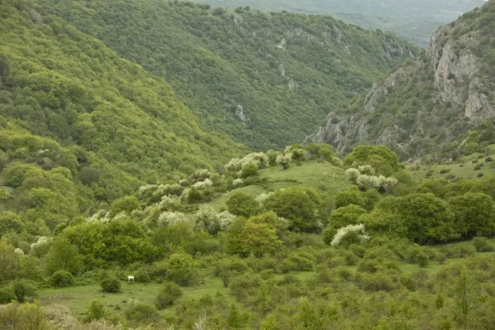 Framed Print : View of prime Marsican Brown Bear (Ursus arctos marsicanus) habitat, below bear-watching point, Gioia Vecchio Framed Print : View of prime Marsican Brown Bear (Ursus arctos marsicanus) habitat, below bear-watching point, Gioia Vecchio