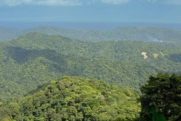 View of protected forested hills, Northern Range Mountains, near Blanchisseuse, Trinidad, Trinidad and Tobago, February