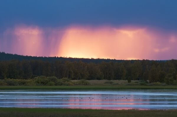 View of rainclouds over forest and lake habitat at sunset, Muonio, Lapland, Finland, September