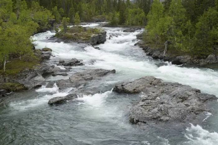 Framed Print : View of rapids in fast flowing river, Gavostjukke, Leipikvattnet, Lappland, Sweden, June Framed Print : View of rapids in fast flowing river, Gavostjukke, Leipikvattnet, Lappland, Sweden, June