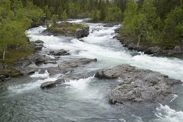 View of rapids in fast flowing river, Gavostjukke, Leipikvattnet, Lappland, Sweden, June
