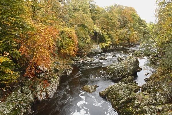 View of rapids amongst rocks in river, Falls of Feugh, River Feugh, near Banchory, Aberdeenshire, Scotland, october