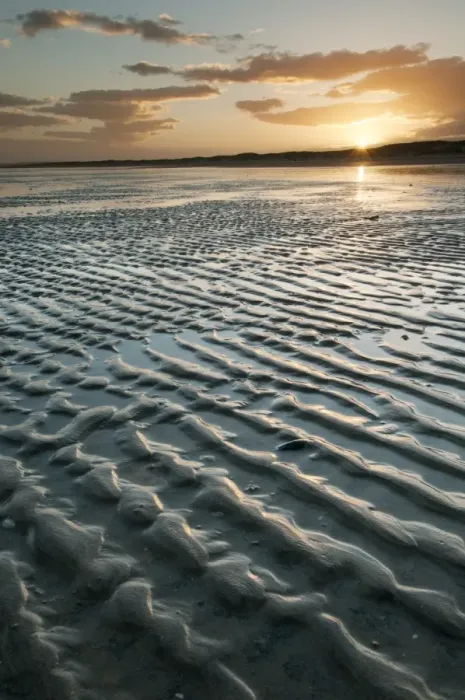 Framed Print : View of ripples in sand on beach during low tide at sunset, Camber Sands, East Sussex, England, June Framed Print : View of ripples in sand on beach during low tide at sunset, Camber Sands, East Sussex, England, June