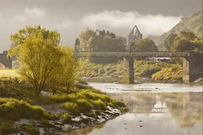 Framed Print : View of river, bridge and Cistercian abbey ruins at dawn, Tintern Abbey, Tintern, River Wye, Wye Valley, Monmouthshire Framed Print : View of river, bridge and Cistercian abbey ruins at dawn, Tintern Abbey, Tintern, River Wye, Wye Valley, Monmouthshire